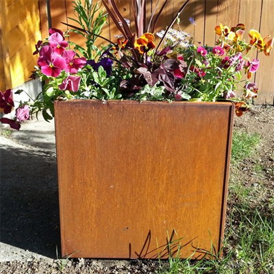Corten Steel saksija